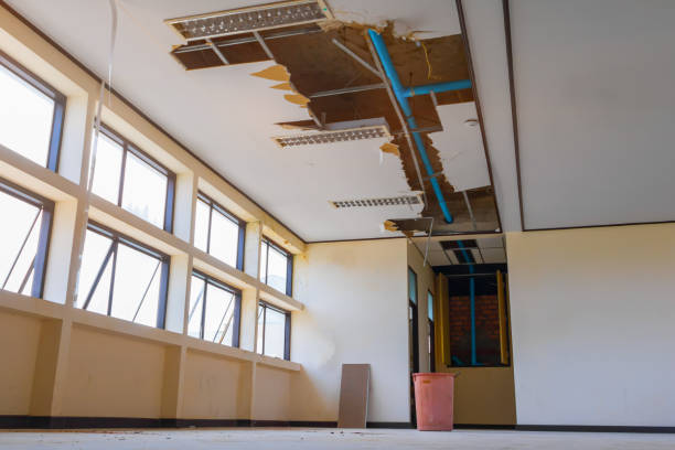 Best Water damage restoration near me  in Albany, GA