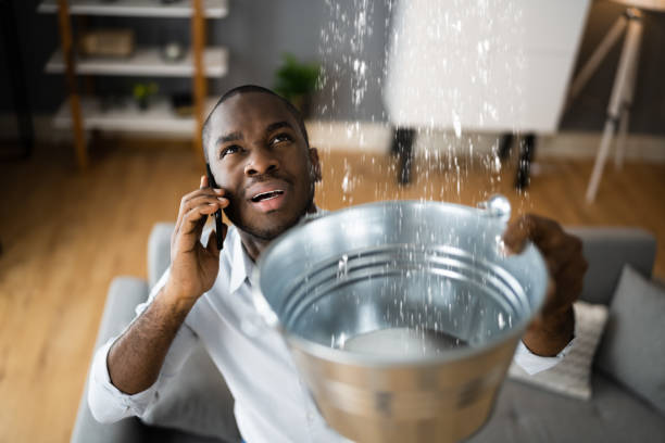 Best Water damage restoration insurance claims  in Albany, GA