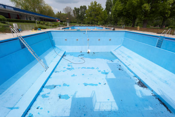 Best Basement water damage restoration  in Albany, GA