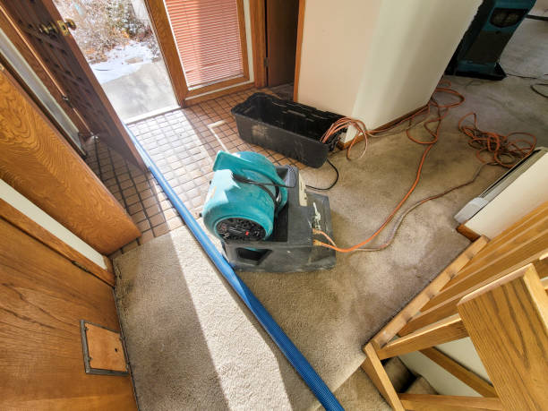 Best Fire Damage Restoration  in Albany, GA