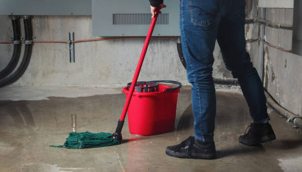 Best Water damage contractors near me  in Albany, GA