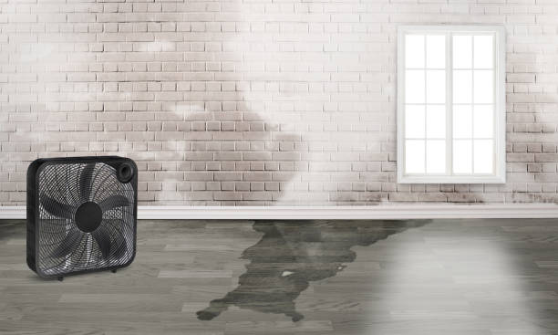 Best Water damage restoration cost  in Albany, GA