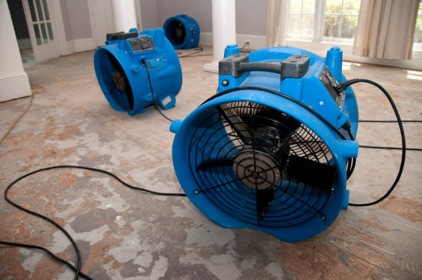 Best Professional water damage repair  in Albany, GA