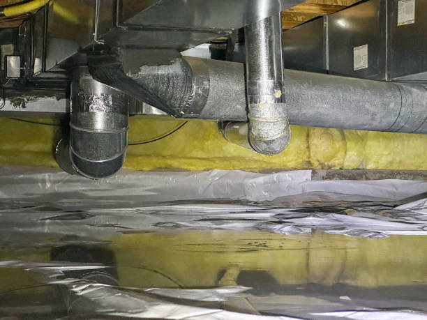 Best Flood restoration services  in Albany, GA