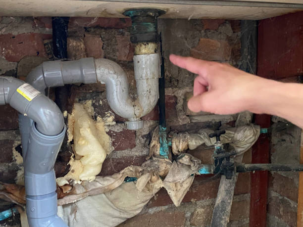Best Carpet water damage restoration  in Albany, GA